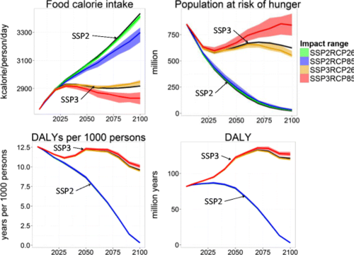 Projected changes in average food availability (represented as calorie consumption per capita), population at risk of hunger and disability-adjusted life years under two Shared Socioeconomic Pathways: the baseline, SSP2, and SSP3, scenario of high global rivalry and conflict. The red and the orange lines show projections for SSP3 assuming high and low intensity of future emissions and the associated climate change.[183]