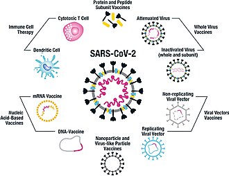 Vaccine platforms that are being employed for SARS-CoV-2. Whole-virus vaccines include both attenuated and inactivated forms of the virus. Protein and peptide subunit vaccines are usually combined with an adjuvant to enhance immunogenicity. The main emphasis in SARS-CoV-2 vaccine development has been on using the whole spike protein in its trimeric form, or its components, such as the RBD region. Multiple non-replicating viral vector vaccines have been developed, particularly focused on adenovirus, while there has been less emphasis on the replicating viral vector constructs.[36]