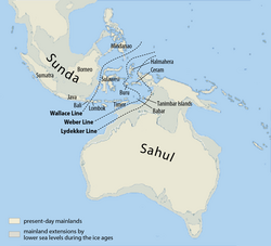 Wallacea – here between Sunda and Sahul – is often counted as belonging to the Australasian bioregion