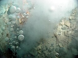 Carbon dioxide bubbles are emitted from white smokers at the Champagne vent site in Eifuku.