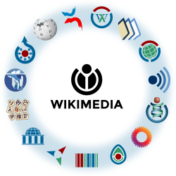 Logos of Wikimedia projects. Clockwise from directly above the Wikimedia logo: Wikimania, Wikifunctions, Wikibooks, Meta-Wiki, Wikiquote, Wikispecies, MediaWiki, Wikimedia Incubator, Wikidata, Wikivoyage, Wikiversity, Wiktionary, Wikisource, Wikimedia Commons, and Wikipedia.