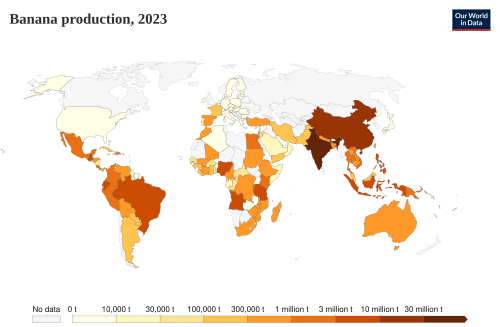 Banana production tonnes