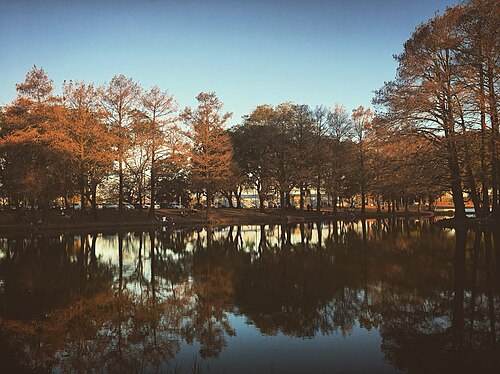 2 de Febrero park