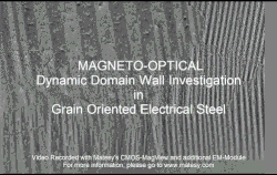 Electromagnetic dynamic magnetic domain motion of grain-oriented electrical silicon steel