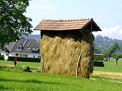 Kozolec, a traditional Slovenian hayrack