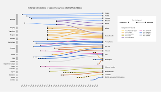 The visualization shows the historical introductions of western honey bees, Apis mellifera, into the United States. In particular, the visualization takes into account four categories of data. The first is the country from which the bees were exported (on the left side of the diagram), then the state into which the bees were imported (on the right side of the diagram), the year in which the shipment took place (represented with a black dot aligned to the relative year on the bottom), and the subspecies of Apis mellifera shipped (represented with the respective color in the legend). A legend included in the visualization helps understand the meaning of the graphic elements.