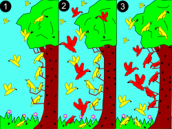1: a smaller (yellow) species of bird forages across whole tree.2: a larger (red) species competes for resources.3: red dominates in middle for the more abundant resources. Yellow adapts to a new niches, avoiding competition.