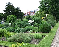 The Chelsea Physic Garden was established in 1673.