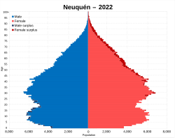 Population pyramid of Neuquén in 2022.
