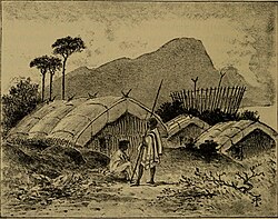 Illustration from Journal of Researches into the Natural History and Geology