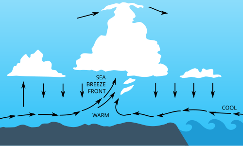 Schematic cross-section through a sea-breeze front. If the air inland is moist, cumulus often marks the front.