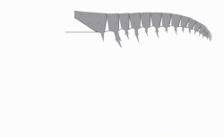 Grasping movement of the frontal appendage of A. canadensis