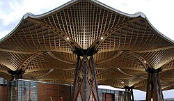 Trunks of White Fir from Gersbach hold up the largest unsupported wooden roof in the world at Expo 2000.