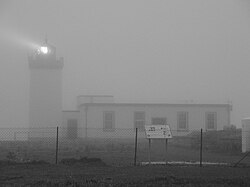 On foggy or overcast nights, goldcrests and other disorientated migrants can be attracted to lighthouses in large numbers.[5]