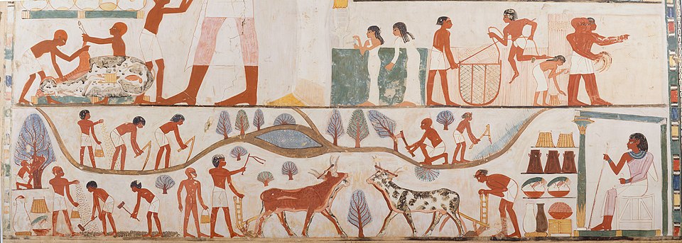 A tomb relief depicts workers plowing the fields, harvesting the crops, and threshing the grain under the direction of an overseer, painting in the tomb of Nakht.