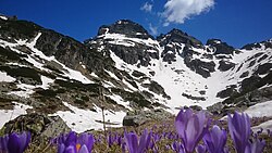 Alpine landscape below Malyovitsa Peak, Rila Mountain, Bulgaria