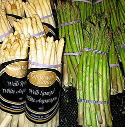White and green asparagus – crispy stems are the edible parts of this vegetable