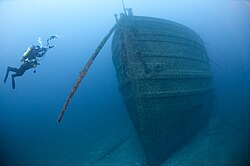 Zebra mussels can commonly be found on shipwrecks in the Great Lakes, one example, the wreck of the steamship Florida, can be found in Lake Huron.
