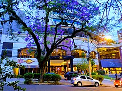 Moinhos de Vento neighborhood is known for its vibrant social life, with a large number of cafés, bars, luxury stores and nightclubs