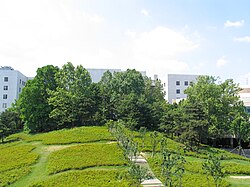 Aegineung, with the Science Library behind