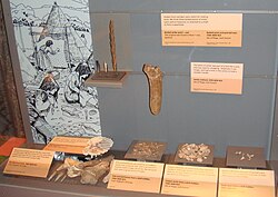 The Mesolithic