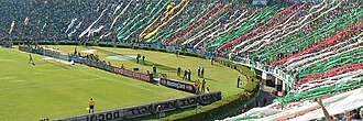 Palmeiras' supporters in the Estádio Palestra Itália