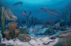 Artistic reconstruction of Marjum biota, including various arthropods (trilobites, hymenocarines, and radiodonts), sponges, echinoderms, and various other groups
