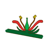 Sessile attachment