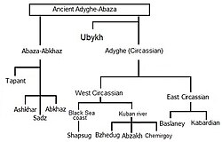 The isolated Northwest Caucasian language family