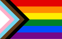 A more recent version of the classic rainbow flag, commonly referred to as the progress flag, with added colors to represent more identities