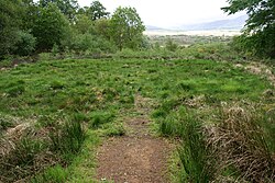 A hut circle in Torr Righ, Arran, Scotland