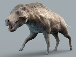 Life restoration of Daeodon