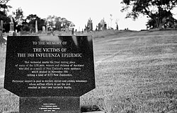 Mass burial site of flu victims from 1918 in Waikumete Cemetery, Auckland, New Zealand