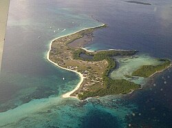 Mangroves in Federal Dependencies