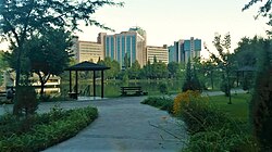 Japanese Gardens in Tashkent