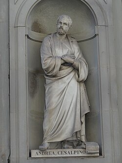 Statue of Cesalpino among the gallery of famous Tuscans in the Loggiato of the Uffizi, sculpted by Pio Fedi