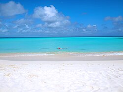 Beach in Los Roques