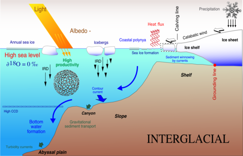 Glaciomarine sedimentation at the margin of an ice-covered continent during interglacial