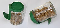 Germination glass (glass sprouter jar) with a plastic sieve-lid