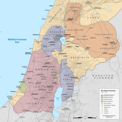 Divisions of the Herodian kingdom: Territory under Herod Archelaus Territory under Herod Antipas Territory under Philip the Tetrarch Territory under Salome I