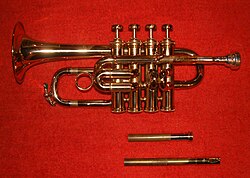 Selmer piccolo trumpet in B♭, with swappable leadpipes to tune the instrument to B♭ (shorter) or A (longer)