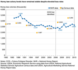 The graph shows the number of honeybee colonies in the U.S. from 1982 to 2015,