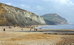 Golden Cap on Dorset's Jurassic Coast