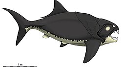 Dunkleosteus