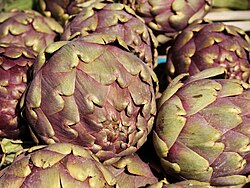Some varieties of artichoke display purple coloration