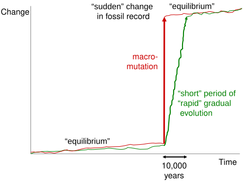 Sudden jumps with apparent gaps in the fossil record have been used as evidence for punctuated equilibrium. Such jumps can be explained either by macromutation or simply by relatively rapid episodes of gradual evolution by natural selection, since a period of say 10,000 years barely registers in the fossil record.