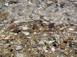 Pebbles cemented with halite on the western shore of the Dead Sea near Ein Gedi