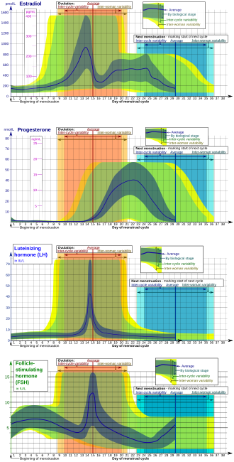 Estradiol, progesterone, LH, and FSH during the menstrual cycle.