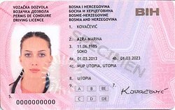 Driver's licence