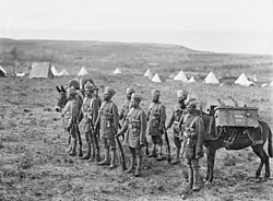 Indian Sappers and Miners in Tripoli, Lebanon.